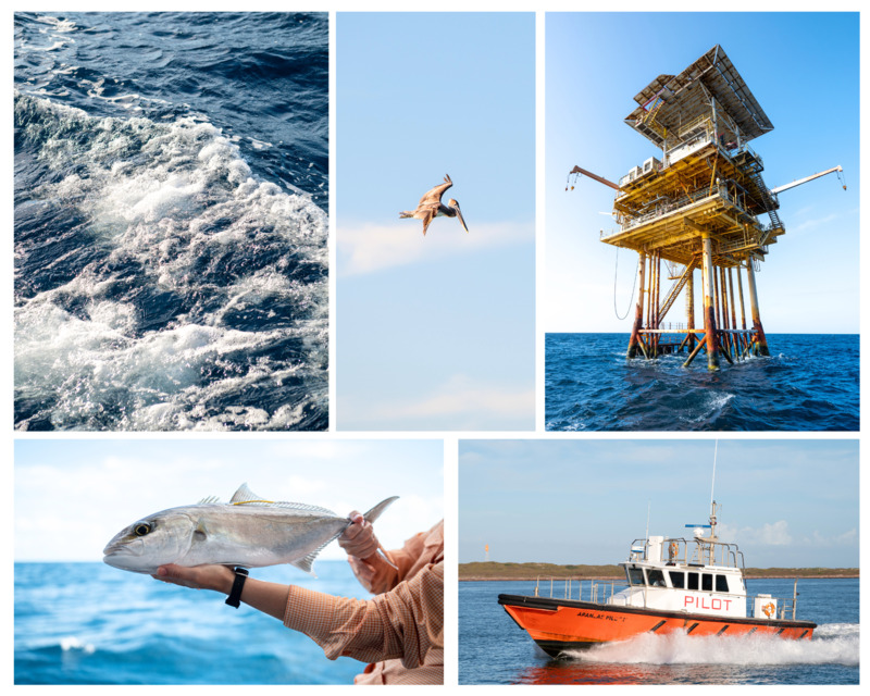 Five images collaged together. Images include open water, a seabird, an offshore platform, a moving boat, and a person holding a fish.