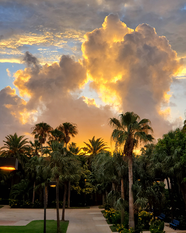 Color photograph of a sunset with towering clouds and palm trees