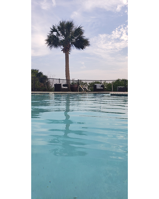 Color photograph of a swimming pool. The background includes patio furniture, a fence, a palm tree, and a lightly clouded sky.